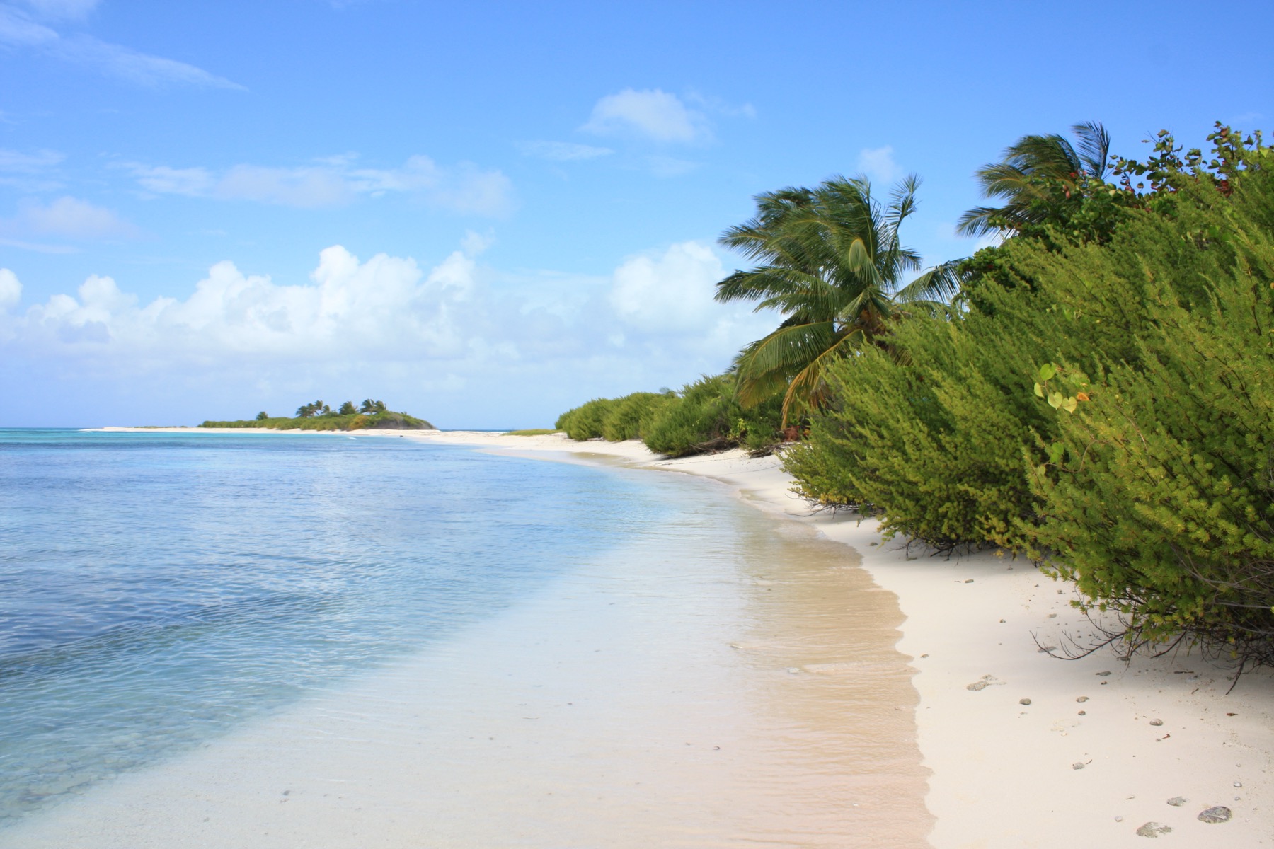 Playa de arena blanca y agua turquesa en el archipiélago de San Andrés