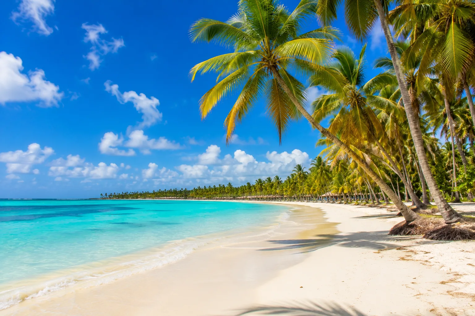 Punta Cana cocoteros y playa dominicana — tour desde Ecuador con AQT