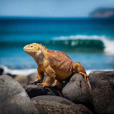 AQTECUADOR